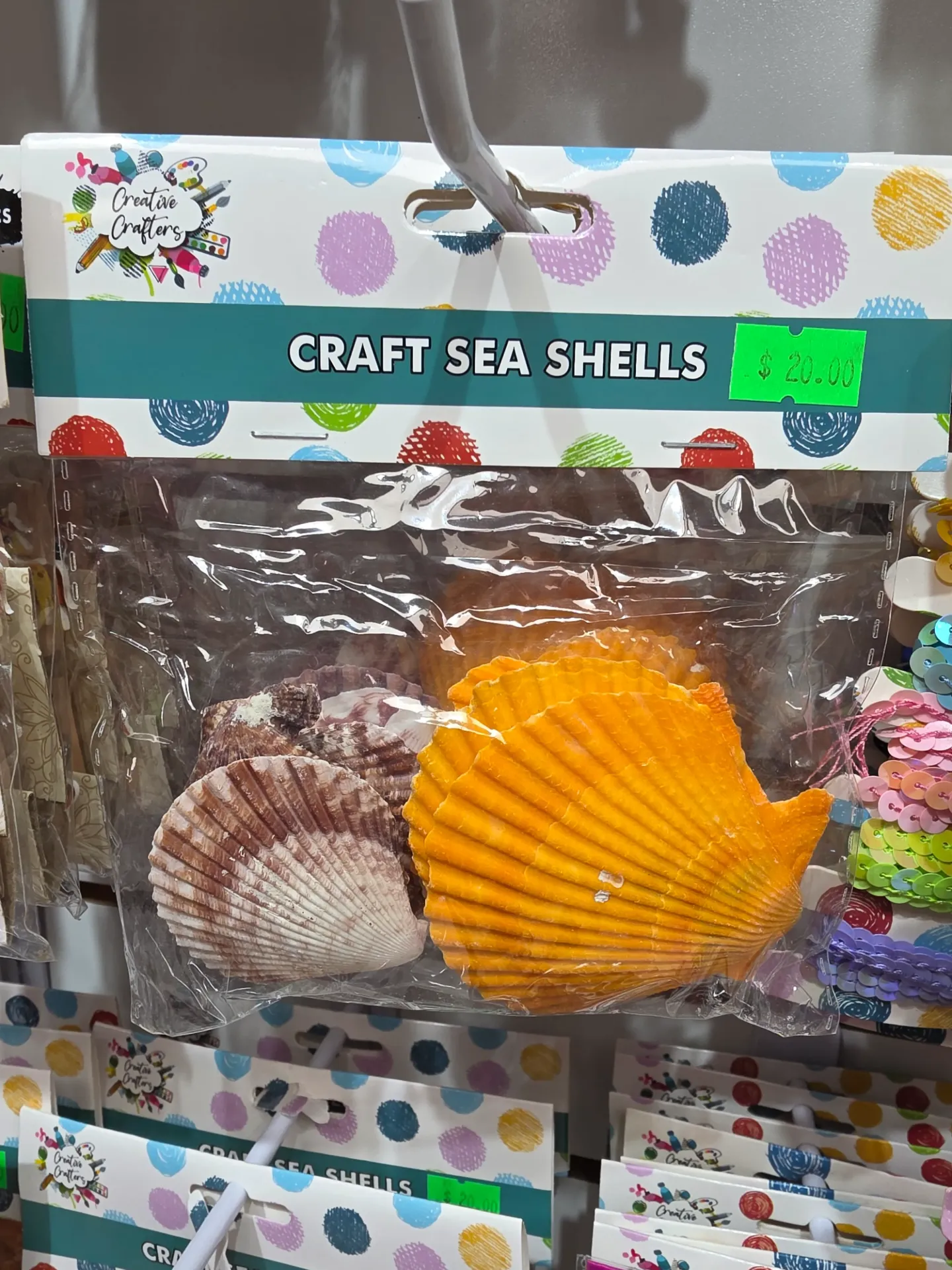 Craft Sea Shells