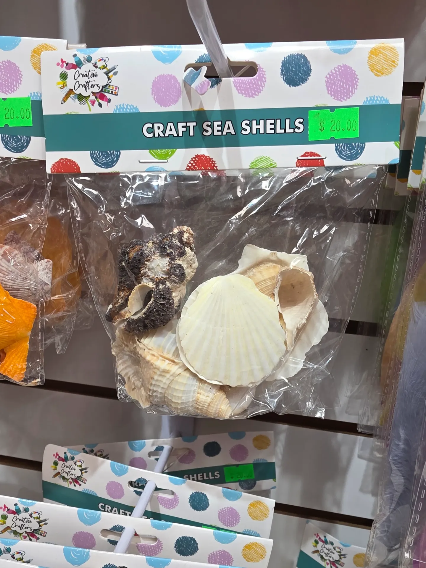 Craft sea shells