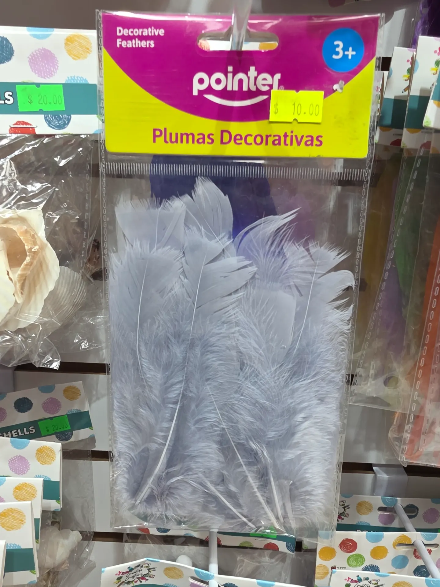 Pointer Plumas Decoratives