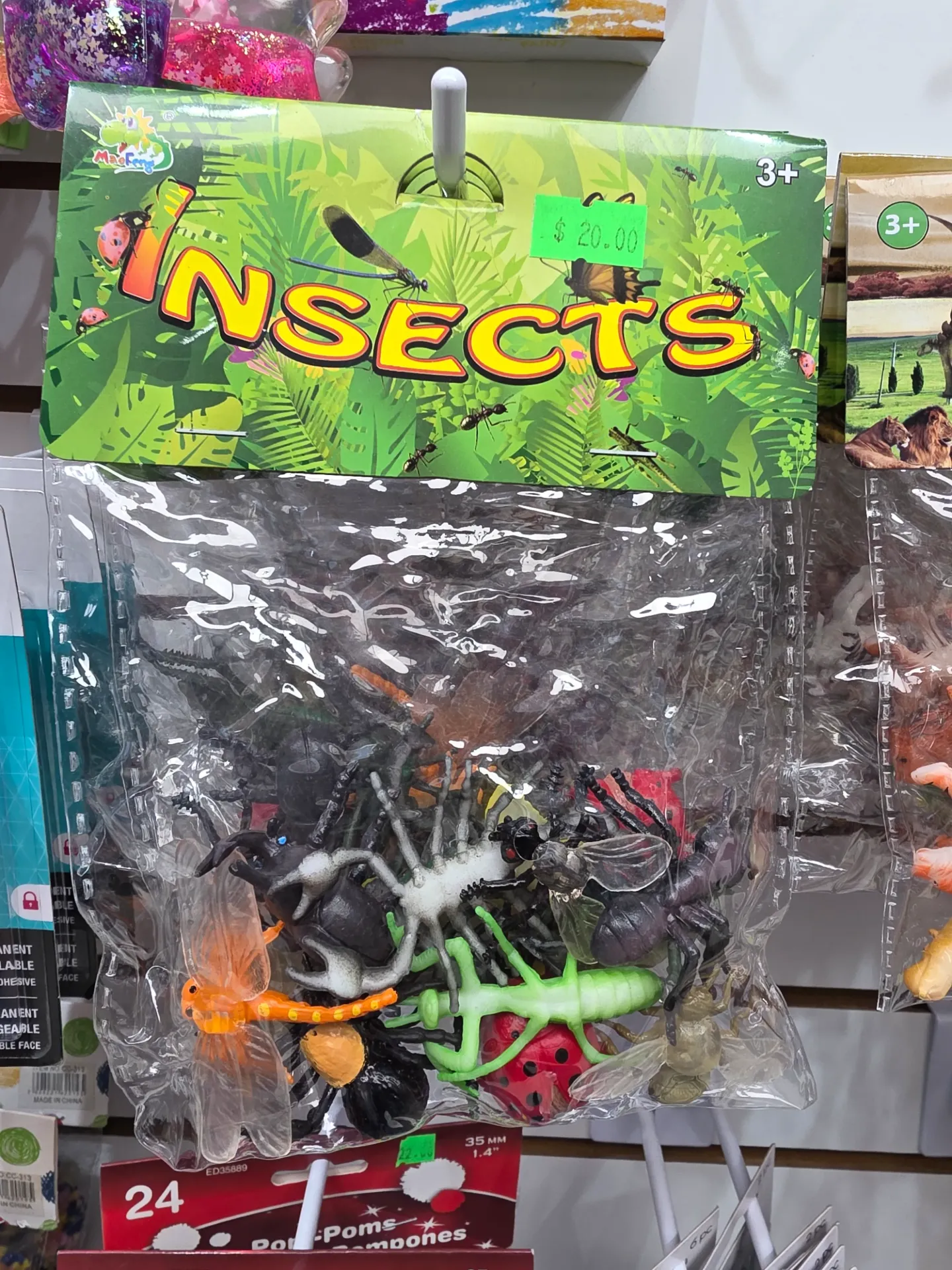 Insects 3+