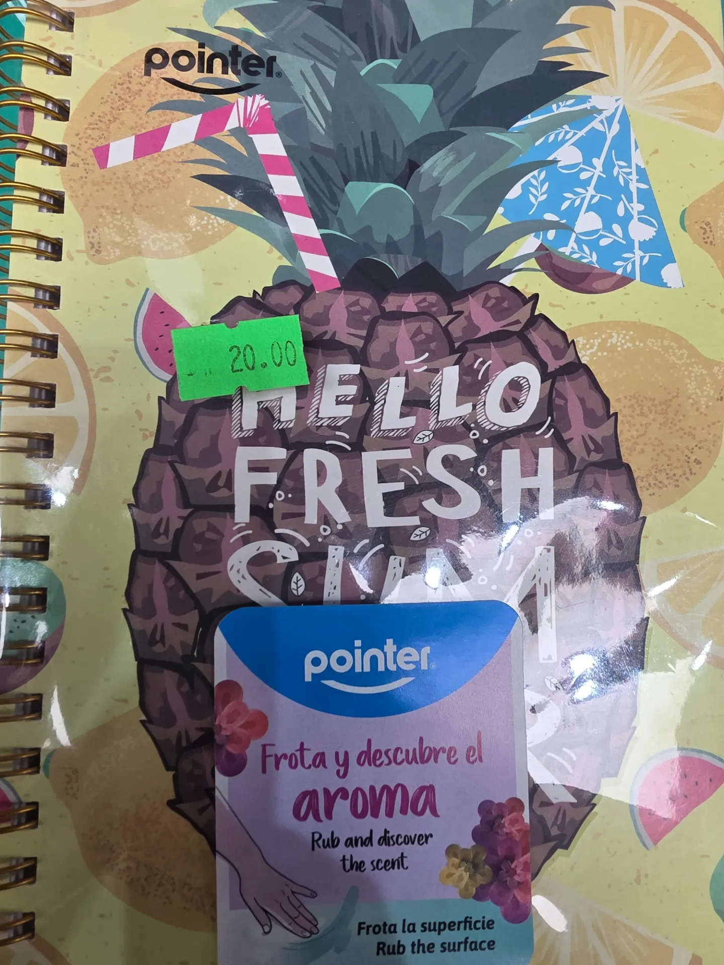 Pointer Ring Diary