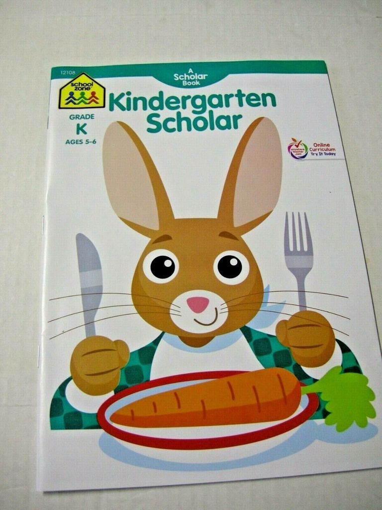 Kindergarten Scholar Book by Vision St. Publishing, Grade K, Ages 5-6, New
