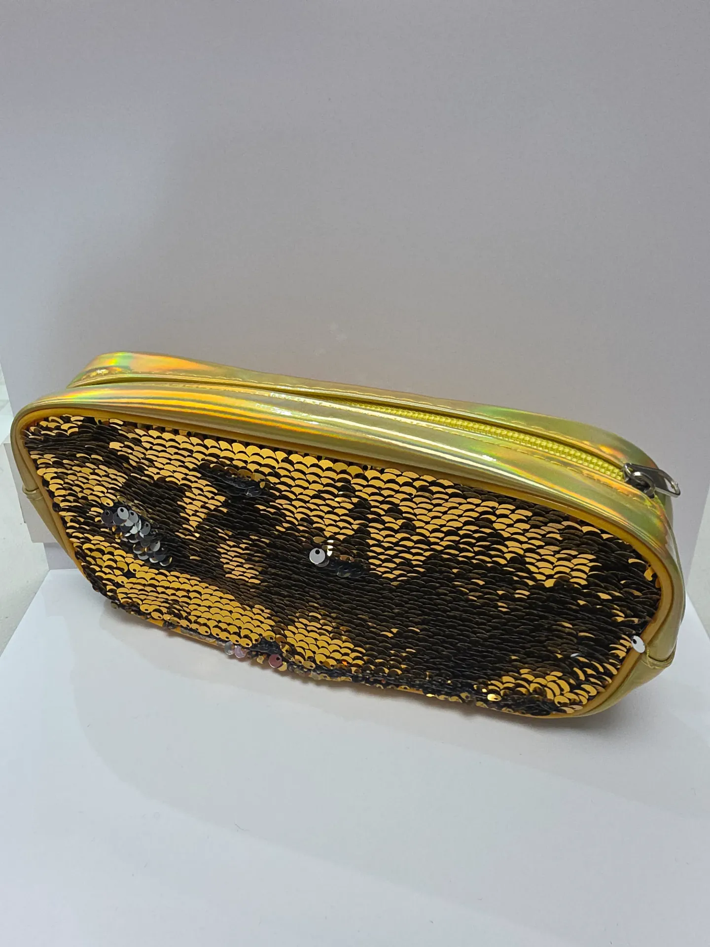 Sequins Pencil Case
