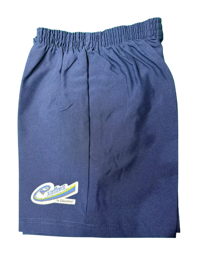 Navy Blue Pants (Size 2)