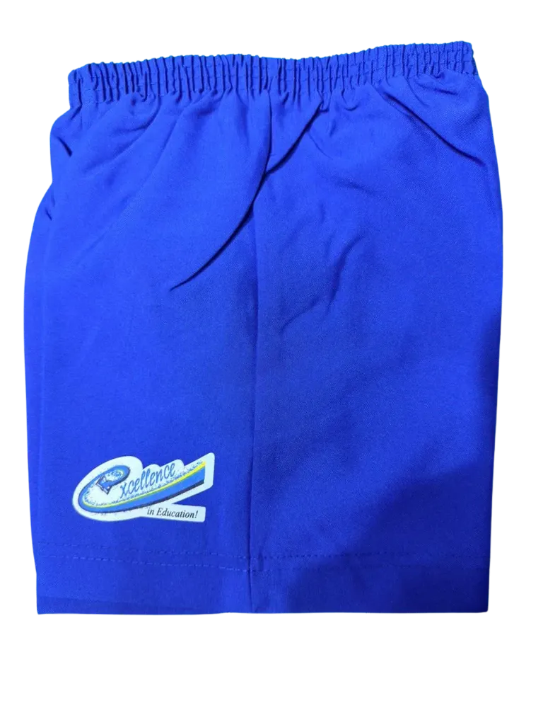 Royal Blue Pants (Size 2)